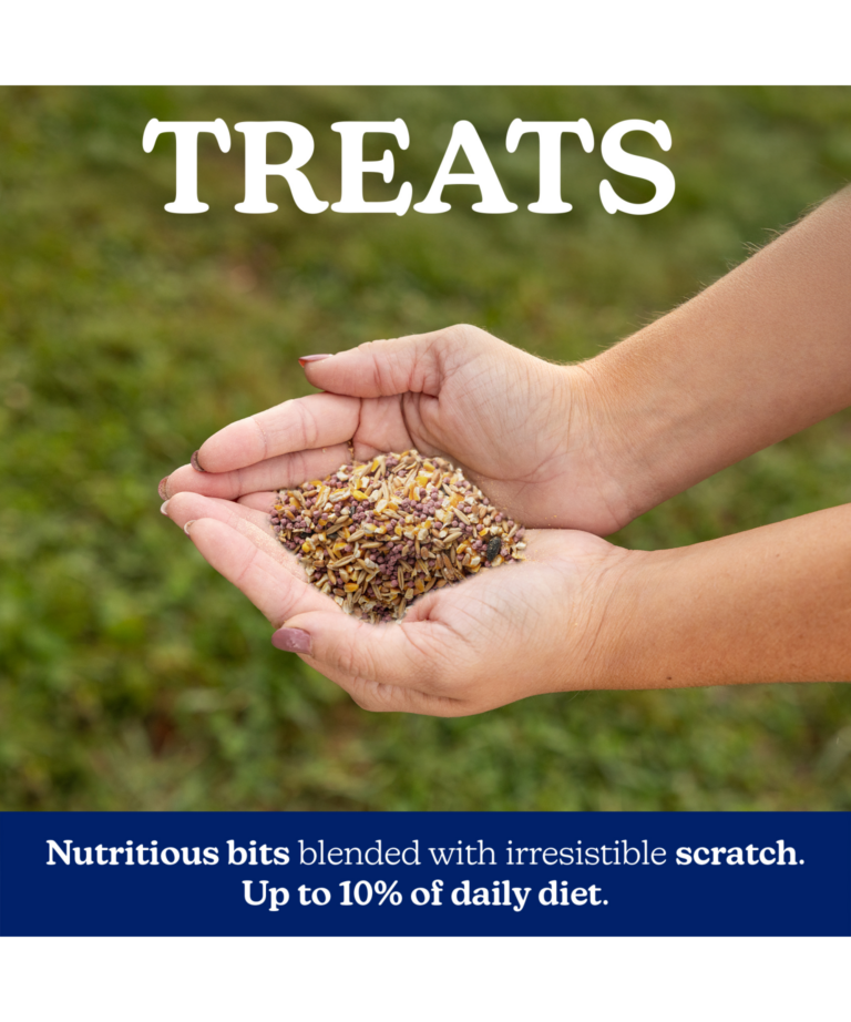 Nutrena NatureWise TidBits Feather Vibrancy with nutritious bits blended with irresistible scratch