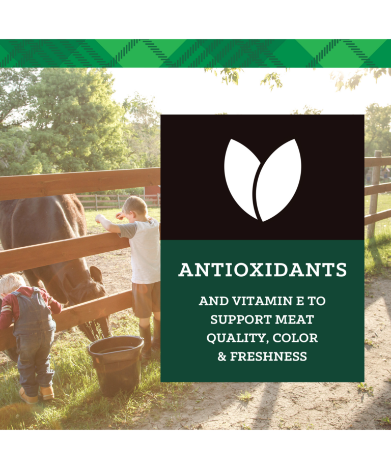 NutreBeef Prime Finish with antioxidants and vitamins to support meat quality color and freshness