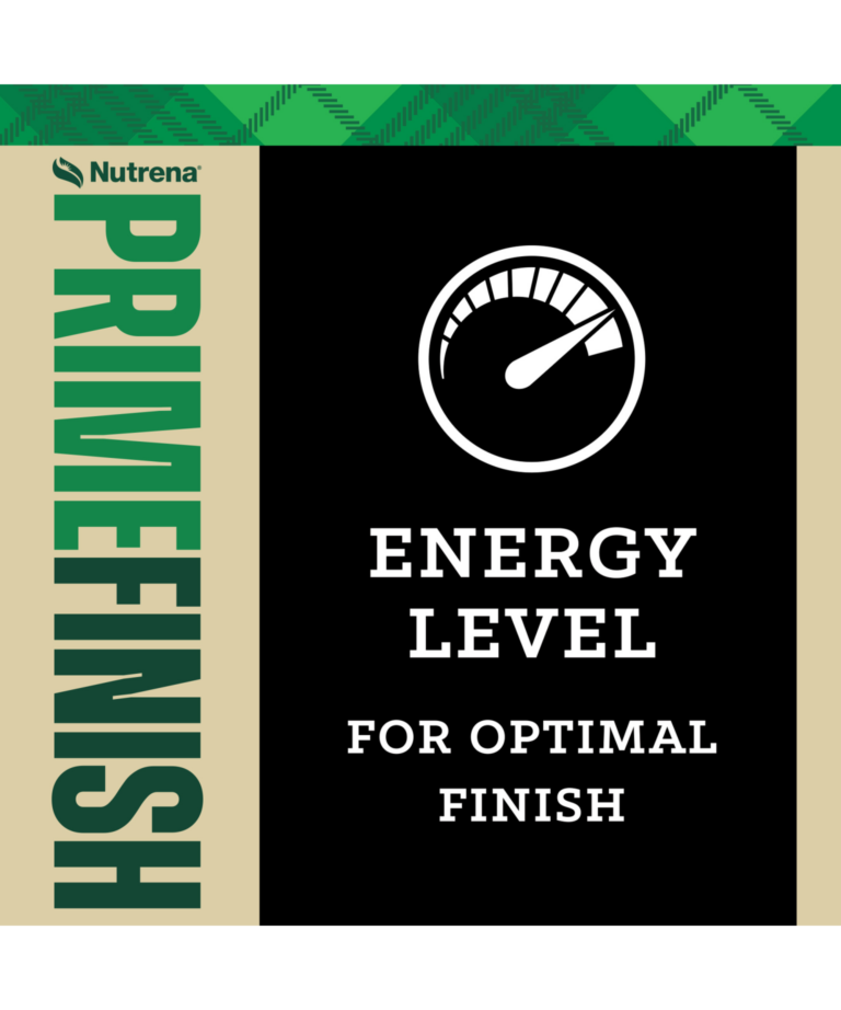 NutreBeef Prime Finish, energy level for optimal finish