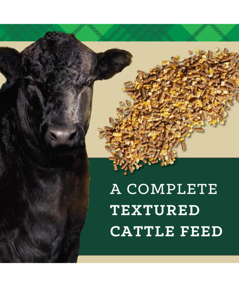 Nutrena NutreBeef Prime Finish, a complete textured cattle feed