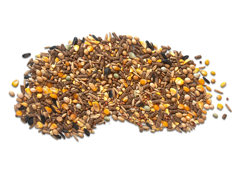 Nutrena NatureWise Harvest Blend Pellet Up Close