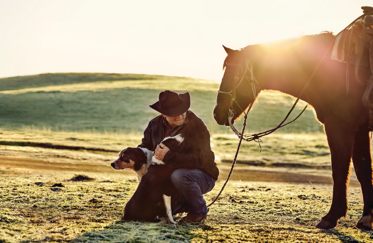 man kneeling by a horse and two dogs
