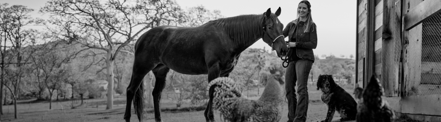 black and white multi species