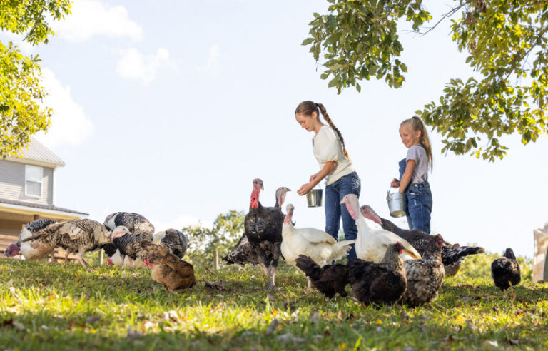 Two young girls feeding Nutrena NatureWise feed to a mixed flock. By feeding NatureWise they are supporting chicken gut health because of technology called Flockshield which includes prebiotics, probiotics, and postbiotics
