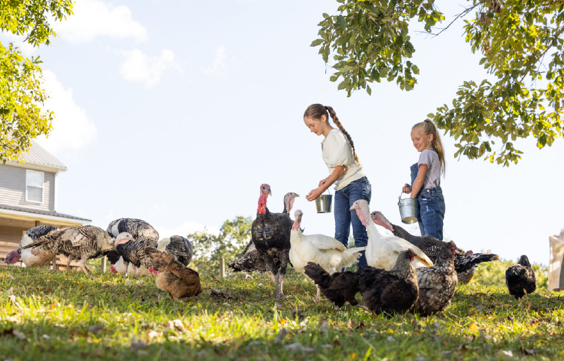 Two young girls feeding Nutrena NatureWise feed to a mixed flock. By feeding NatureWise they are supporting chicken gut health because of technology called Flockshield which includes prebiotics, probiotics, and postbiotics